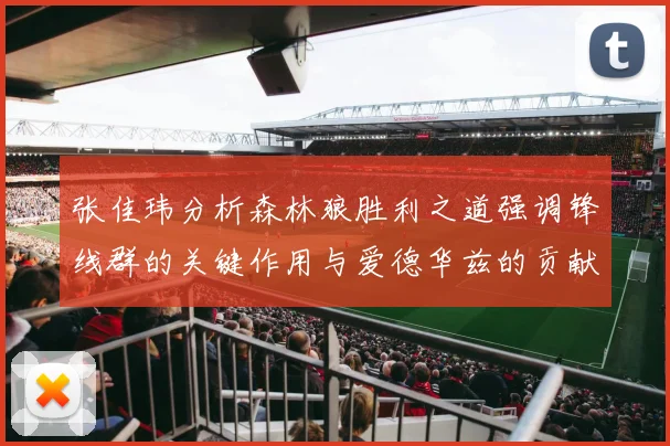 张佳玮分析森林狼胜利之道强调锋线群的关键作用与爱德华兹的贡献